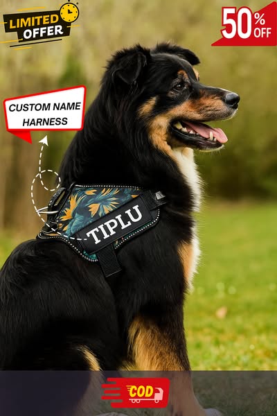 Shop for personalized service
