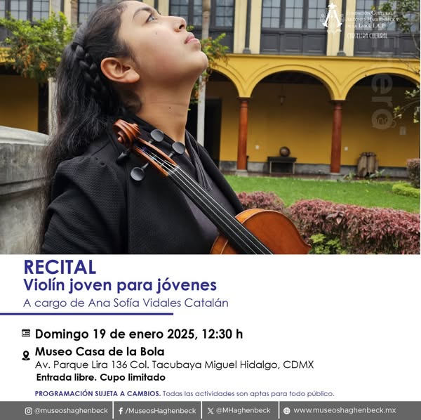 violin
