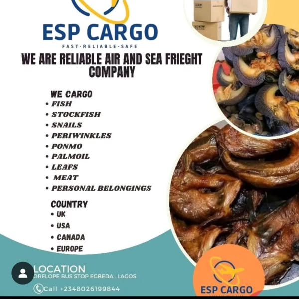 Safe professionally