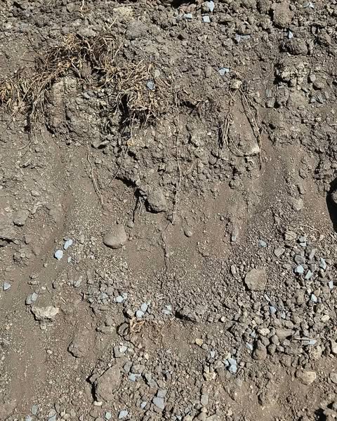 soil