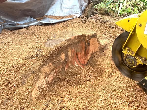 Affordable stump
