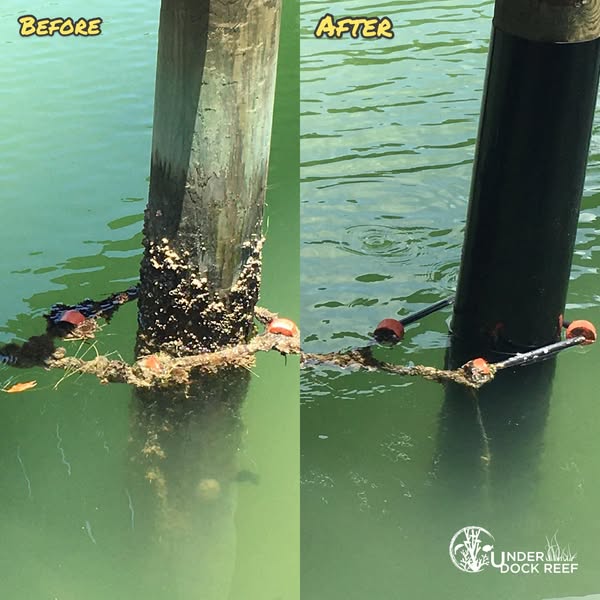 pilings
