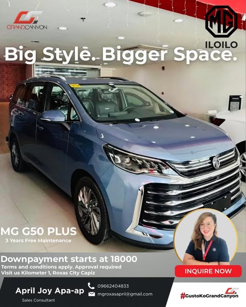 Stylish annual