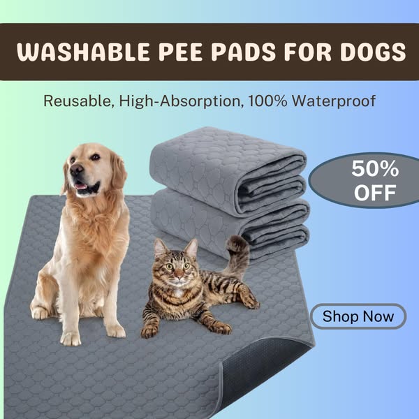 Shop for Pet Owners