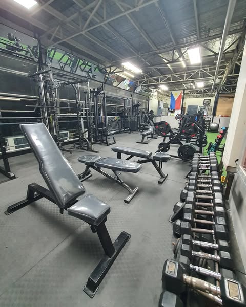 Affordable workout