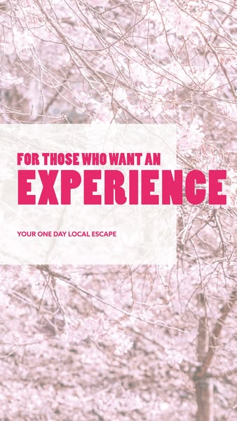 Shop for Foodies