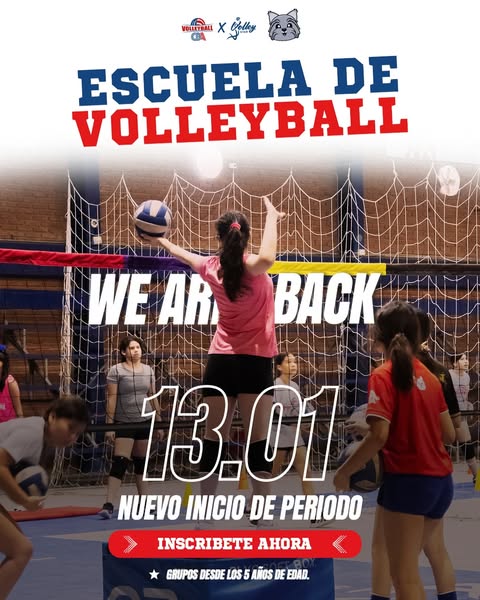 volleyball