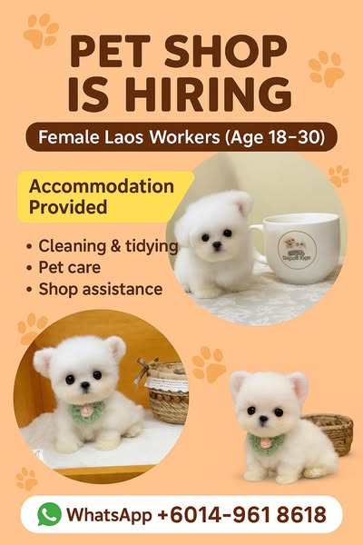 Shop for pet grooming