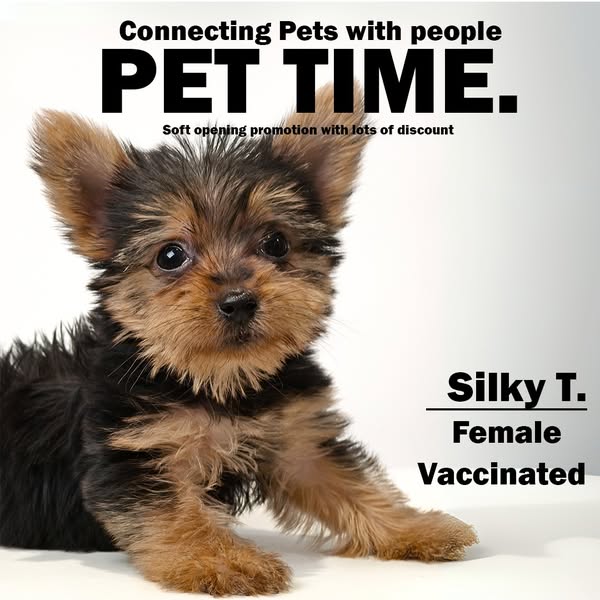 Learn French with Stories