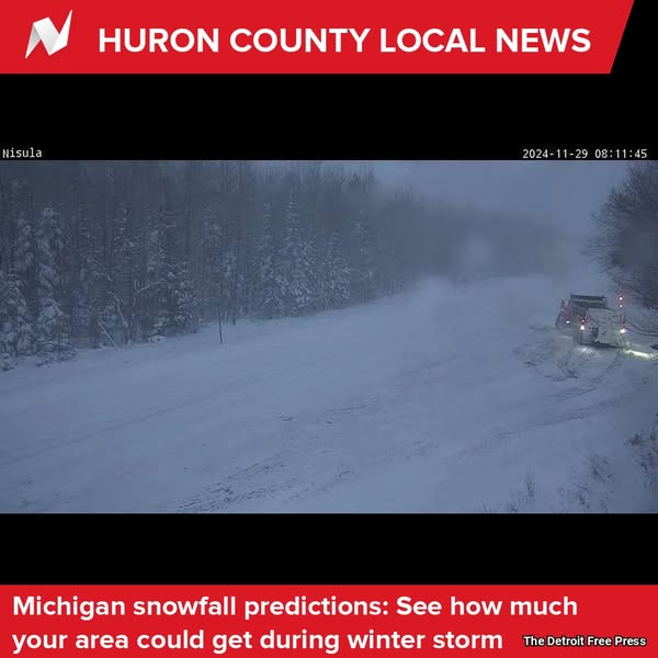 Winter Snowfall