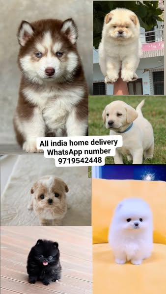 Shop for IT services