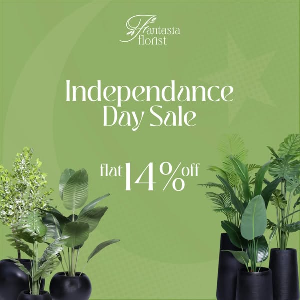 Shop Home Decor