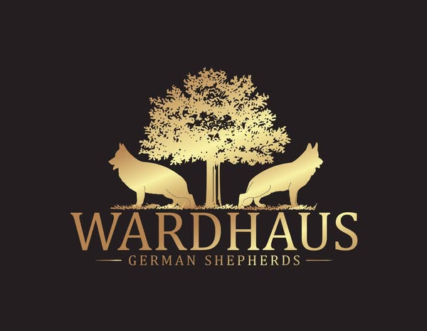 Exceptional importer