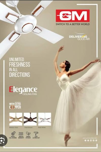 Luxurious fan