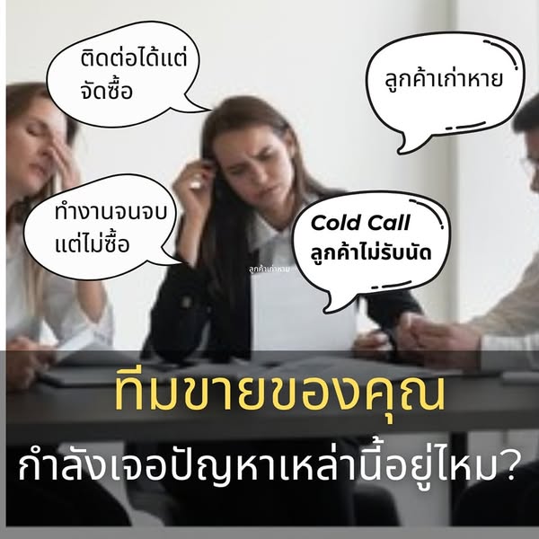 stakeholder