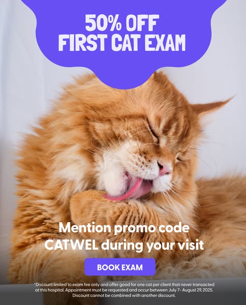 Discount code