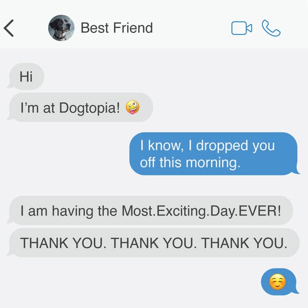 Exciting daycare