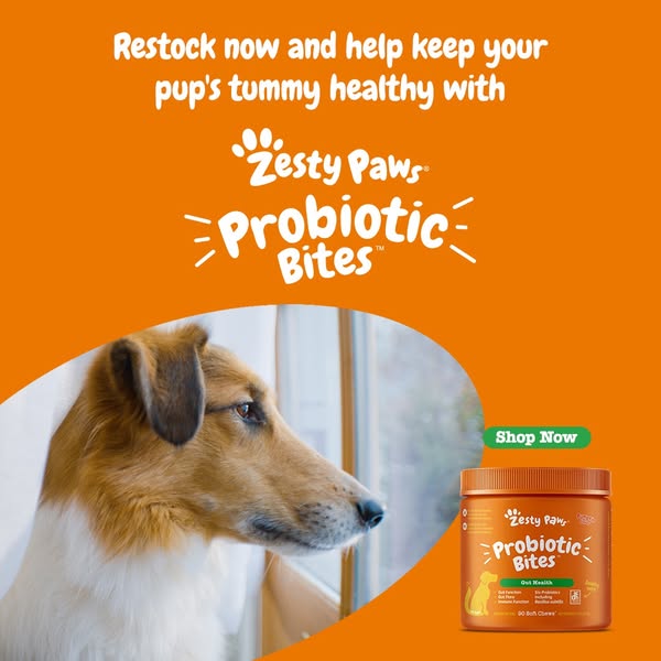 Healthy pup