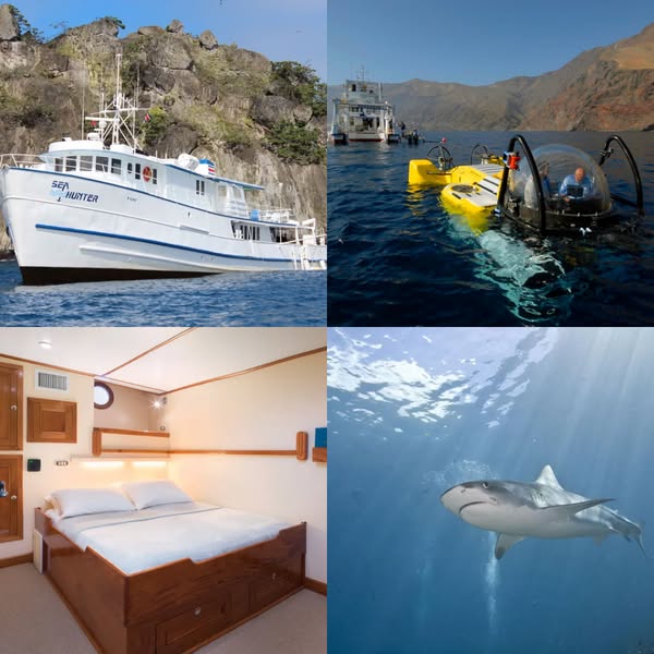 Comfortable aboard