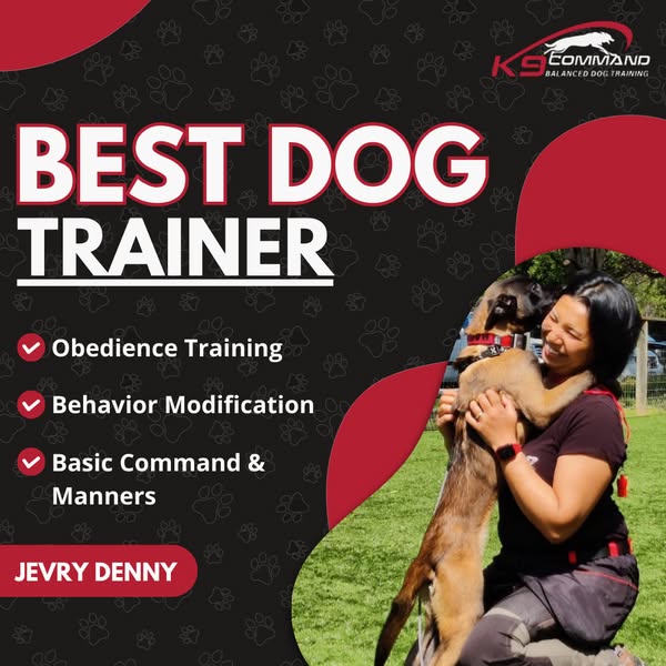 Personalized trainer