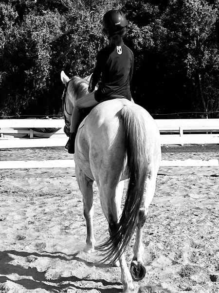 horseback