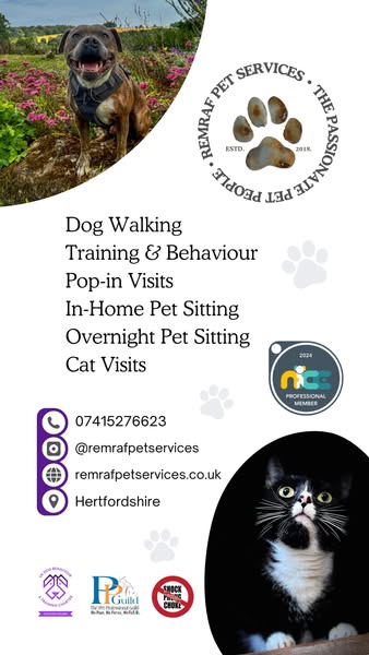 Dependable pet