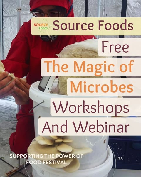 Online courses and workshops