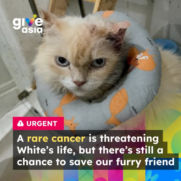 Gentle cancer