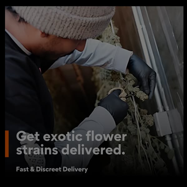Quality venture
