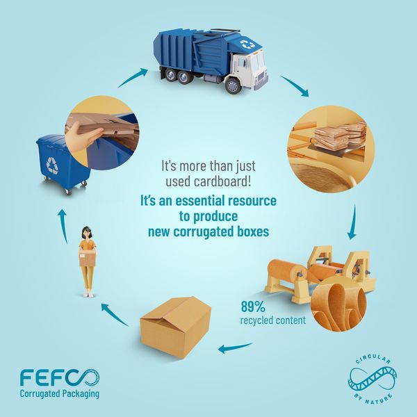 Cardboard Boxes
