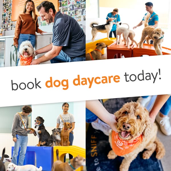 Exciting daycare