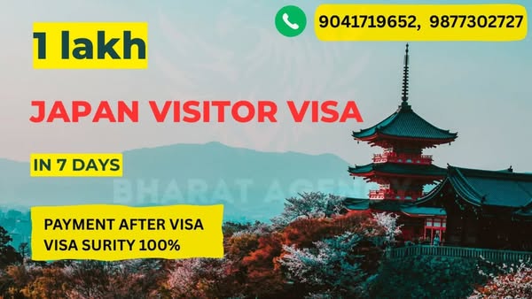 visitor