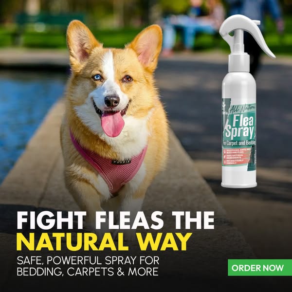 Shop for Pet Owners