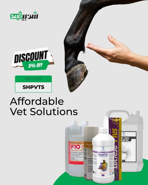 Discount Code