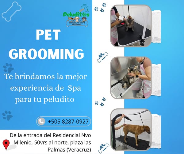 Shop for pet grooming