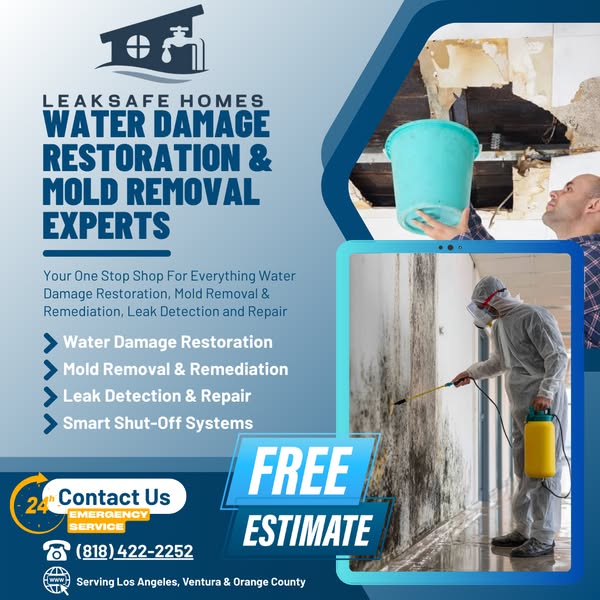 Shop for Water Leak Detection