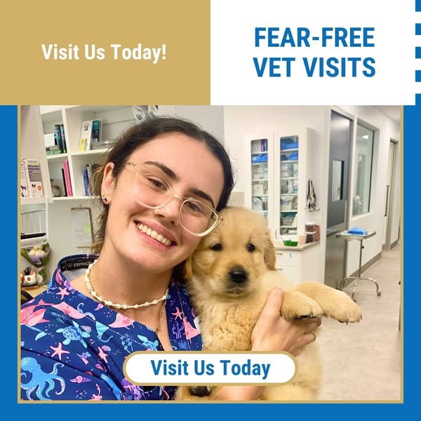 Reliable veterinary