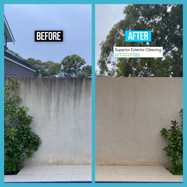 Fresh concrete