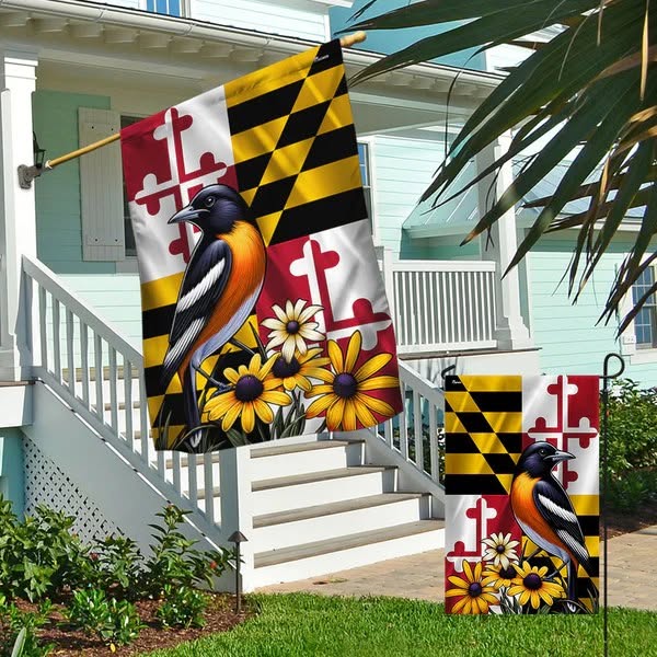Shop for seasonal collections