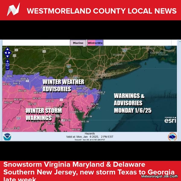 meteorologist