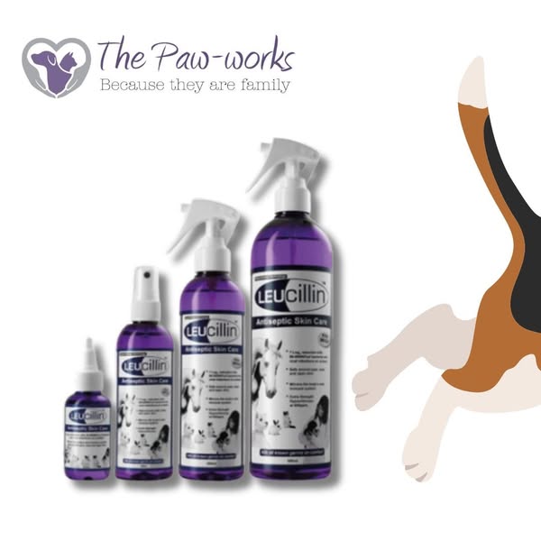 Shop for First Aid Kits