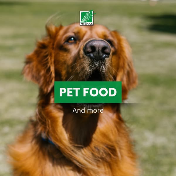Shop Pets