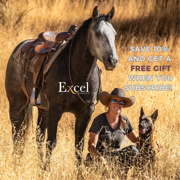 Exclusive Offer