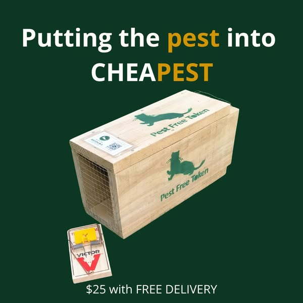 Shipping options and costs