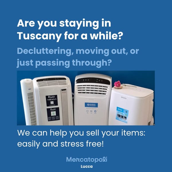 Shop for vintage finds