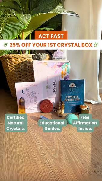Subscription Box