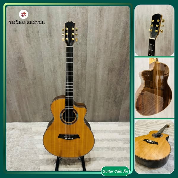Acoustic Guitar