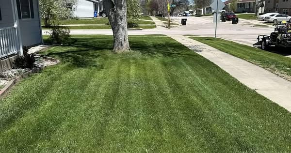 Valuable mow