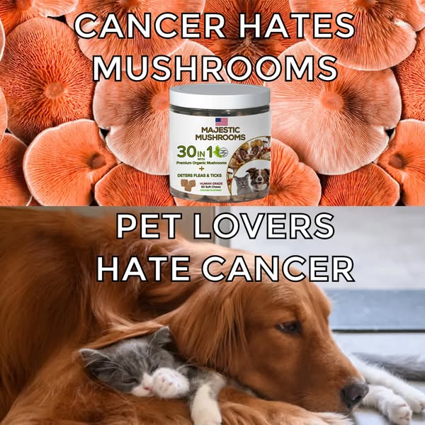 Shop for Pet Lovers