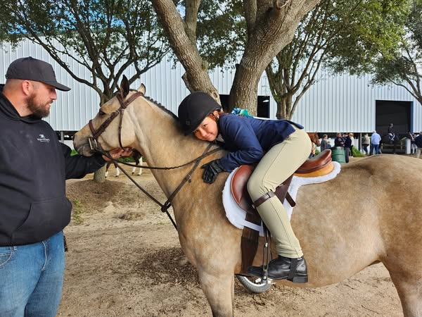 Warm equestrian